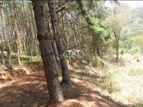 Imagem 6 de 13 de Terreno- Petrópolis, Araras - 32212