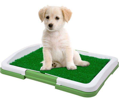 Tapete Entrenamiento Baño Para Perros Puppy Potty Pad + Envi