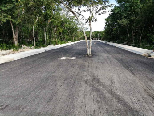 Imagen 21 de 21 de Lotes Residenciales Frente A Puerto Aventuras P2525
