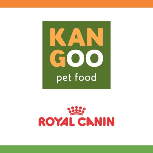 Royal Canin Medium Adulto +10 X 15 Kg Kangoo Pet