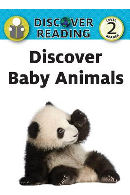 Libro Discover Baby Animals - Xist Publishing