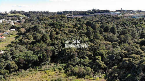 Imagem 10 de 23 de Área À Venda, 11914 M² Por R$ 5.766.419,56 - Cidade Industrial - Curitiba/pr - Ar0007