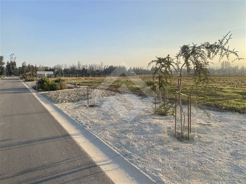 Imagen 5 de 5 de Sitio En Venta En Colina