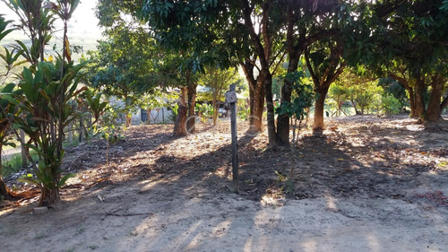 Imagem 8 de 11 de Chácara À Venda Em Chácaras Planalto - Ch008993