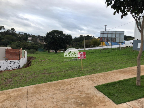 Imagem 1 de 4 de Terreno À Venda, Novacap - Cascavel/pr - 12079