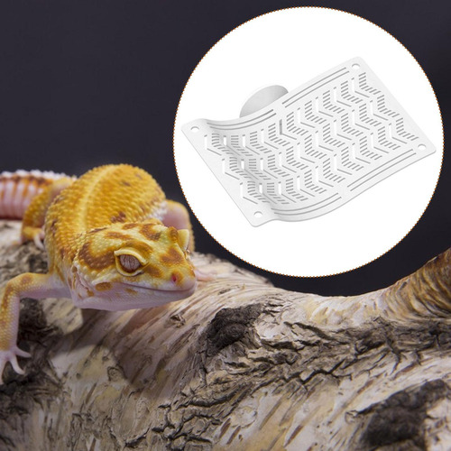 Hamaca De Reptiles, Hamaca De Dragón , Tumbona De Lagartos,