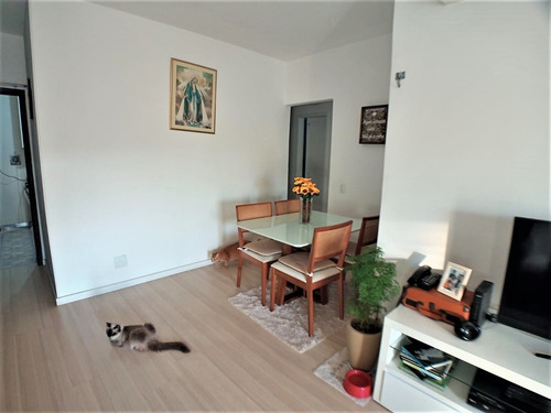 Imagem 5 de 15 de Apartamento Em Méier - Rio De Janeiro - 7945