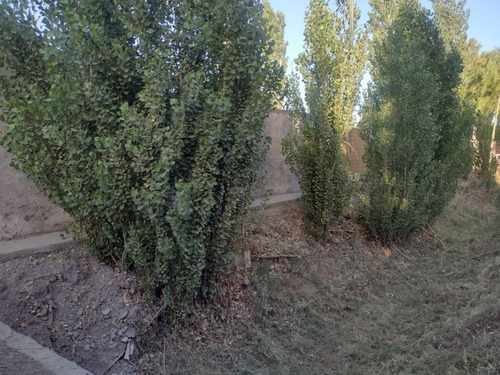 Lote De 1500 M2. Totalmente Perimetrado. Pocito