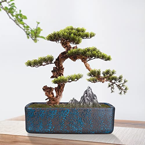 Maceta Rectangular Terracota Para Suculentas De 27.4 Cm, Hie