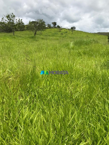 Imagem 15 de 15 de Fazenda - Zona Rural - Ref: 5020 - V-mta5020