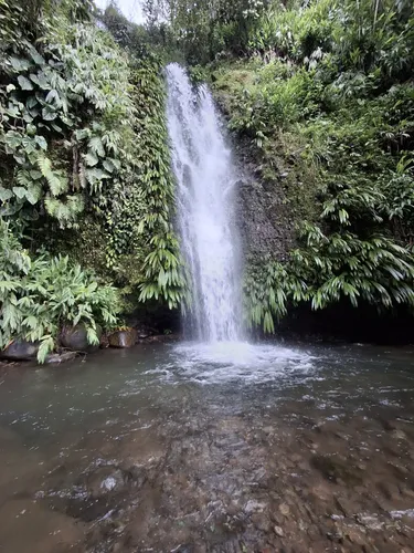 Venta De Finca Cafetera En Fresno Tolima