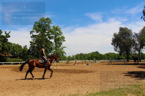 Imagen 4 de 12 de Gb Propiedades-terreno - Haras Santa Maria