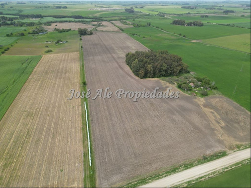 En Venta Campo De 41.5 Ha, Colonia