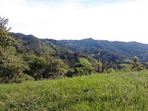Imagen 3 de 4 de 33.000 M2 En Atenas - Carrizal