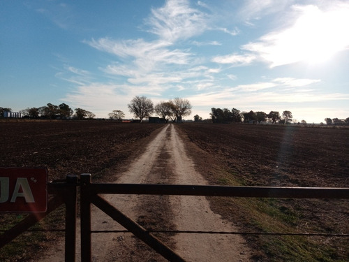 Imagen 1 de 11 de Campo 7,6 Hectáreas