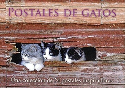 Postales De Gatos - Vv Aa - Animales, Fotografía - Parragon