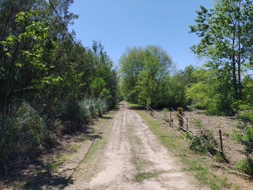 Imagen 12 de 19 de Lote 7 En Tierra Y Casa Flotante En Econáutico Hipocampo