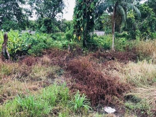 Chácara Com 02 Dormitórios, Em Itanhaém