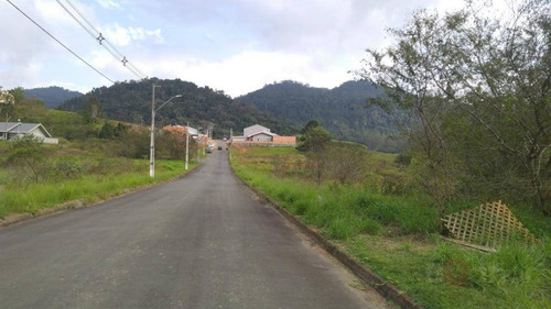 Terreno À Venda, 377 M² Por R$ 179.000,00 - Itoupava Central - Blumenau/sc - Te0307