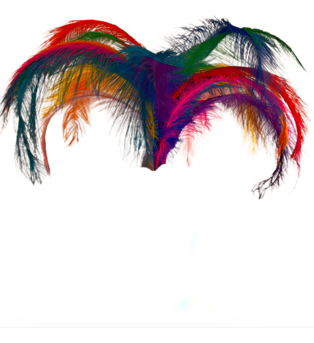 Plumas De Colores +40cm (pack 10un.) Colores Especiales Rosa