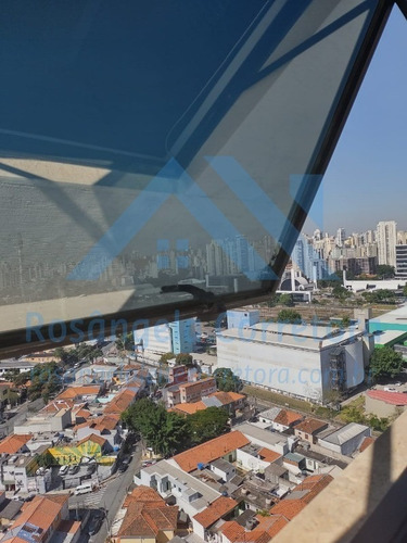 Imagem 26 de 30 de Sala - Sa00186 - 69549518