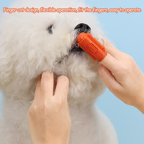 Cepillo De Dientes Para Perros Cepillo De Dientes Para Gatos