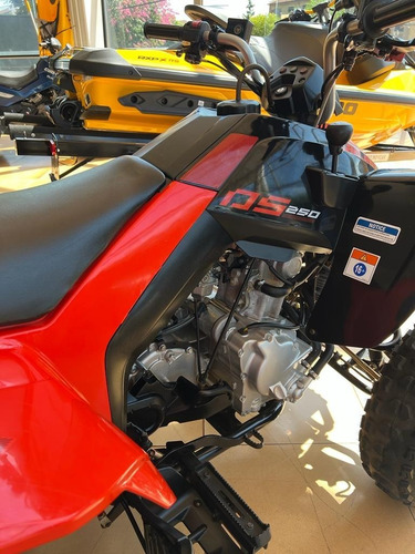 Imagem 6 de 7 de Quadriciclo Brp Can Am Ds 250 2020 Semi Novo Impecável