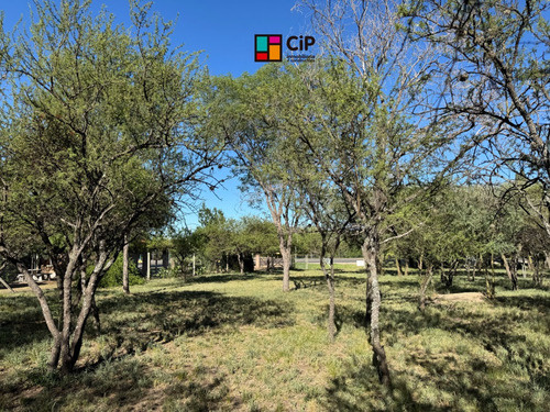 Venta De Lotes Sobre Ruta 1, Los Molles