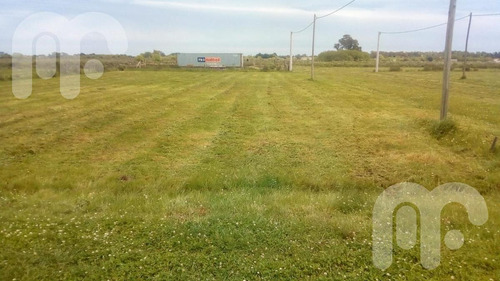 Imagen 7 de 22 de Terreno - Arana