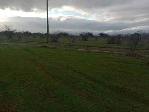 Terreno 100% Plano Entrada De La Parcelación