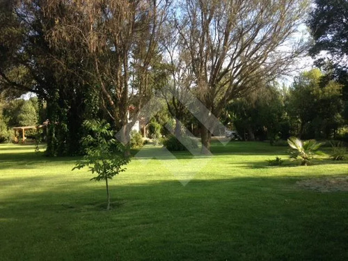 Parcela Con Casa 3d 2b Piscina Terraza Arriendo En Talagante