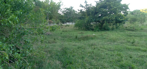 Excelente Sítío Plano De 42 Mil Mts