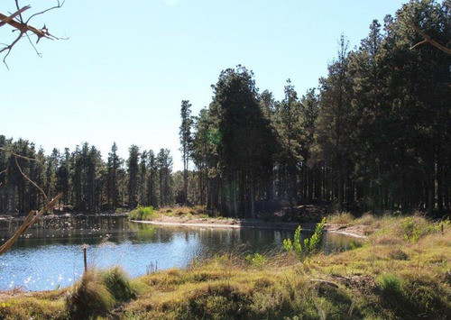 Imagen 8 de 15 de Venta - Lote Con Vista A Laguna En Villa Robles - Barrio Cerrado
