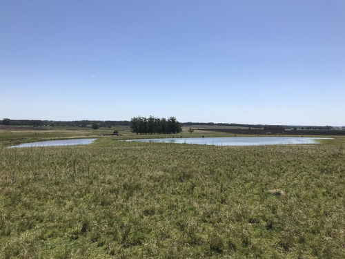 Chacra - Punta Piedras