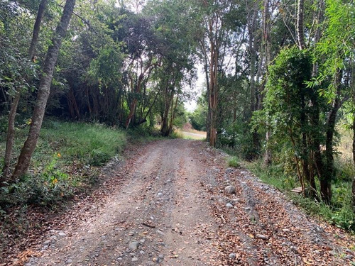 Imagen 11 de 14 de Sitio En Venta En Cascada