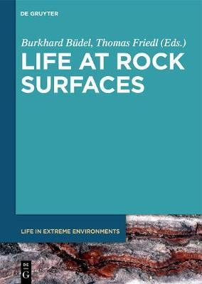 Libro Life At Rock Surfaces : Challenged By Extreme Light...