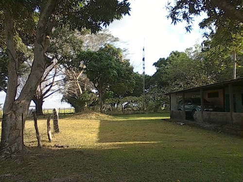 Imagen 14 de 15 de Hato En Venta En Elorza, Apure