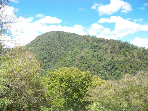 Imagen 6 de 11 de Solares,villas,lotes,terrenos En Jarabacoa