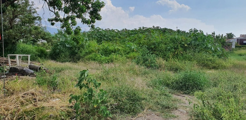 Imagen 3 de 5 de En Venta Amplio Terreno Con Escrituras Y Conexion A Servicios En Fracc. Lomas De Cocoyoc