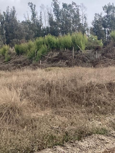 Terreno Para Proyecto Inmobiliario En Santo Domingo