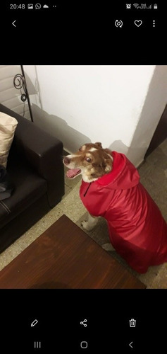 Ropa Impermeable Y Reversible Para Perros 