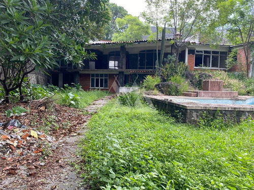 Terreno En Renta - Lomas De La Selva