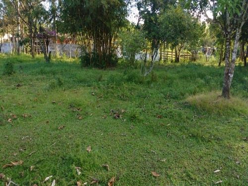 Imagem 12 de 14 de Terreno De Chacara - 0 - 4410795