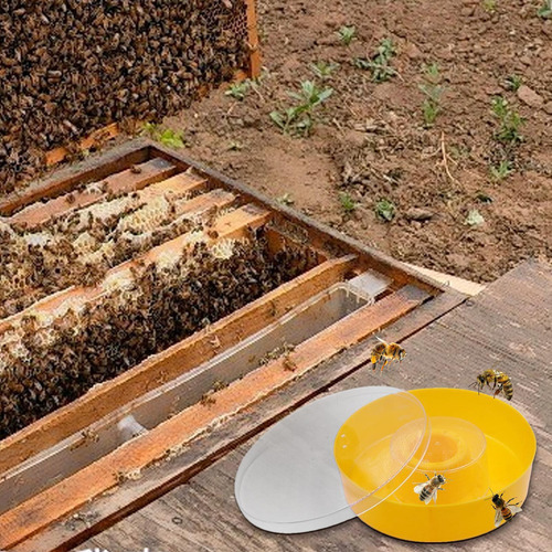 Alimentador Para Abejas Alimentador Para Colmena De Abejas A