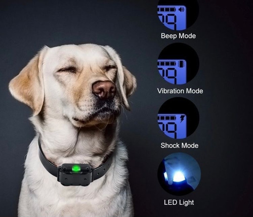 Collar De Choque Eléctrico Para Perro De Entrenamiento Color Negro