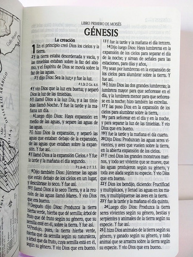Imagen 6 de 9 de Biblia Rvr-1960 Letra Grande Imitación Piel Color Rosa Claro