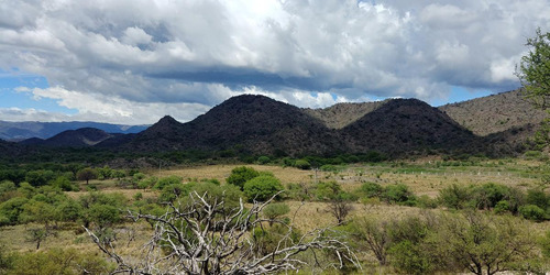 San Francisco Del Monte De Oro, Chacra 40 Hectareas Sobre Ruta , Escritura Inmediata