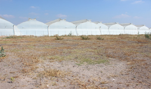 Terreno En Venta En Pedro Escobedo