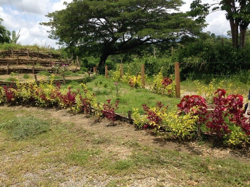 Venta Finca Yaguapita Acevedo Miranda Con Proyecto Piscicola