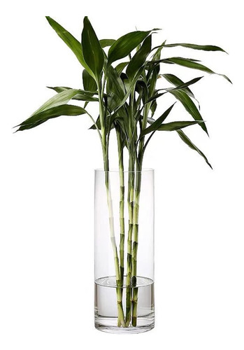 Vaso De Vidro Transparente Darenyi Para Flores, Vaso De Cili
